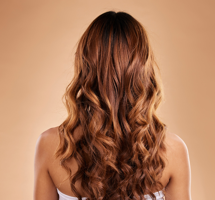 Haircare, Back and Beauty of Woman with Curly Hair in Studio Isolated on a Brown Background. Texture, Growth and Female Model with Salon Treatment for Hairstyle, Balayage or Extensions and Highlights